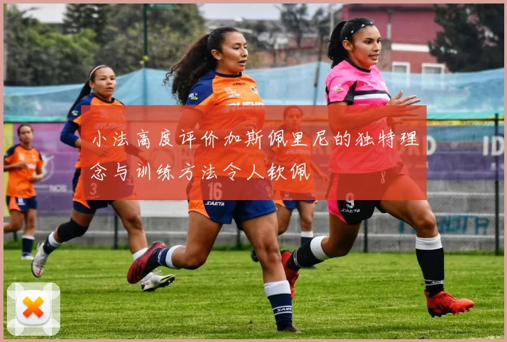 小法高度评价加斯佩里尼的独特理念与训练方法令人钦佩