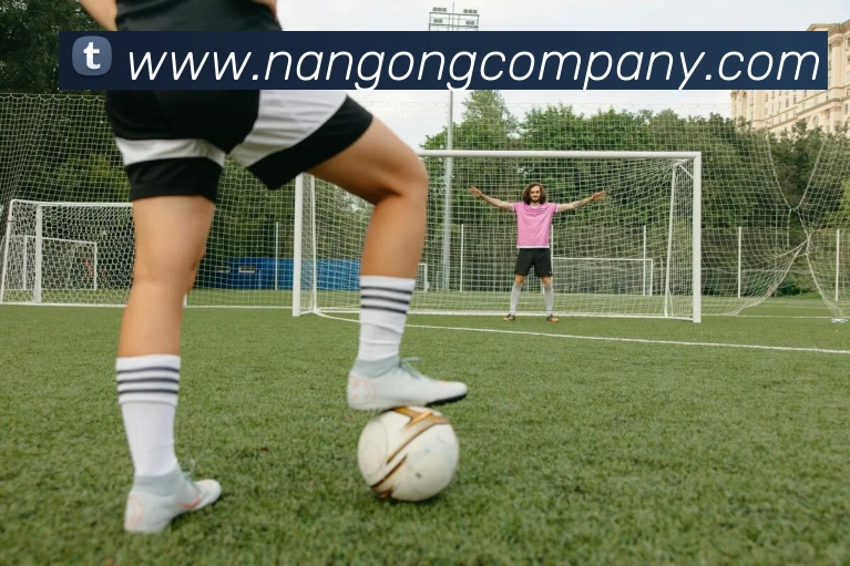 南宫体育平台生态图